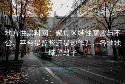 地方性黑料网：聚焦区域性腐败与不公，平台是监督还是炒作？，各地地域黑段子