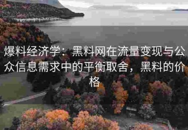 爆料经济学：黑料网在流量变现与公众信息需求中的平衡取舍，黑料的价格