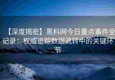 【深度揭密】黑料网今日重点事件全记录：权威追踪数据流转中的关键环节