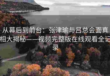 从幕后到前台：张津瑜与吕总会面真相大揭秘——视频完整版在线观看全记录