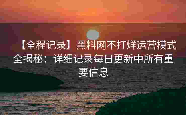 【全程记录】黑料网不打烊运营模式全揭秘：详细记录每日更新中所有重要信息